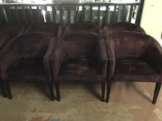 Eight purple upholstered tub chairs