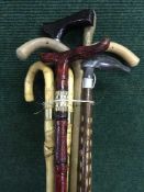 A bundle of assorted walking sticks