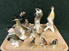 A tray of eleven continental china bird figures