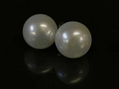 A pair of large freshwater pearl earrings in silver mounts