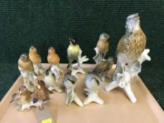 A tray of ten continental china bird figures