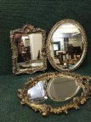 Three gilt framed mirrors