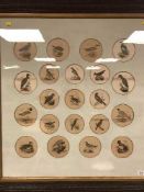 After John Duncan : Twenty-one hand coloured engraved portraits of birds, framed.