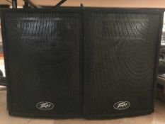 A pair of Pavey Pro12 speakers