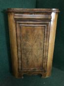 A late Victorian mahogany corner cabinet