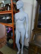 A female shop mannequin on stand