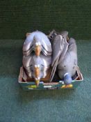 A box of pigeon decoys