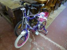 A boy's Giant mountain bike together with a girls Raleigh bike