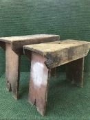 Two large pine crackets