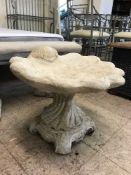 A garden shell bird bath