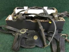 A box of assorted horse leathers and tacks