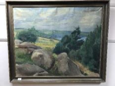 Continental school : expansive landscape, oil on canvas, dated 1930, framed.
