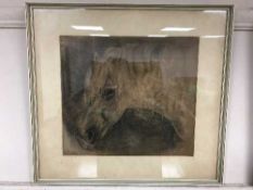A G Wallace : Head study of a horse, charcoal, signed, framed.