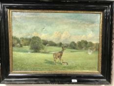 P. Ortved : Deer and fawn, oil on canvas, signed and dated 1916, framed.