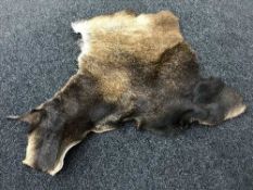 Wild boar hide/skin rug.