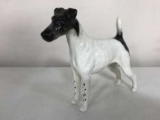 A Beswick figure, 'Endon Black Rod' Smooth Haired Terrier,