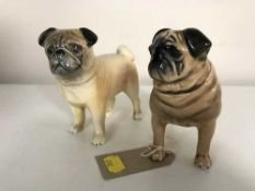 A Beswick figure of a pug and one other pug figure