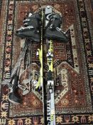 A pair of Pilot skis,