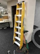 A Black & Decker strimmer and set of Lyte electricians ladders