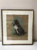 Marjorie Cox : study of a spaniel, pastel,