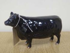 A Beswick figure - Aberdeen Angus Cow, model 1563, gloss.