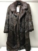 A vintage lady's musquash fur coat