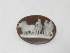 A 19th century shell cameo (un-mounted)