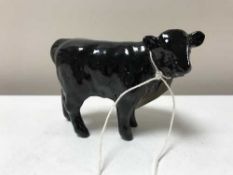 A Beswick figure - Aberdeen Angus Calf, model 1827A, gloss.
