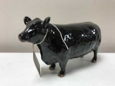 A Beswick figure - Aberdeen Angus Cow, model 1563, gloss.