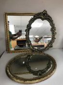 Three gilt framed mirrors