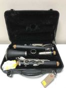 An American Sky clarinet in case