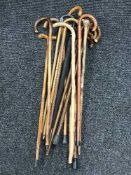 A large bundle of walking sticks