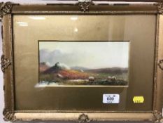 Hugh Maxwell : Sheep on a moorland, watercolour, signed.