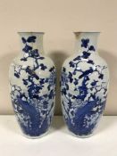 A pair of 19th century blue and white Chinese vases depicting birds in foliage,
