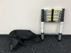 A telescopic ladder in carry bag