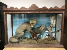 A large taxidermy display case containing a fox, magpie,