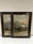 Two framed watercolours depicting highland cattle signed Adinis