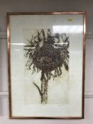 Michael Stokoe : Sunflower, aquatint, signed in pencil and numbered 23/30.