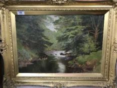 Twentieth Century English School : A River Landscape, oil on panel, 33 cm x 48 cm, framed.