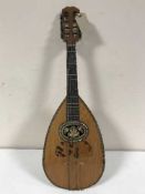 A mandolin