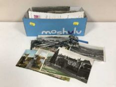 A box of assorted 20th century colour and monochrome photos and a Willis Cigarette albums of dogs