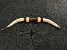 A pair of mounted cow horns