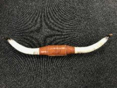 A pair of mounted cow horns