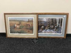 A pine framed Gary Sorrels Limited Edition print, numbered 361/600, antelope on an open plane,