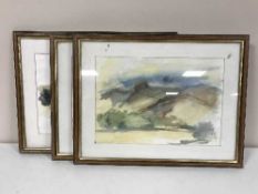 Three framed watercolour and pen and ink drawings depicting rural mountain landscapes