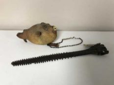 A taxidermy puffer fish and a sawfish bill