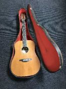 An SX custom acoustic guitar in carry case