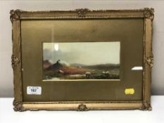 Hugh Maxwell : Sheep on a moorland, watercolour, signed.