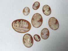 Quantity of loose cameos (9)