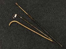 An antique horse measuring walking stick together with two other walking sticks